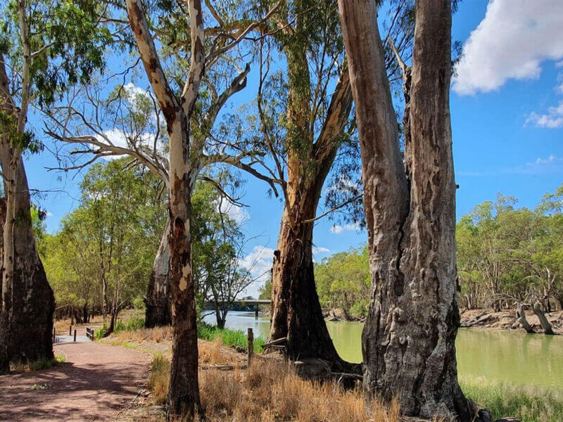 Bidgee River + Sandy Point