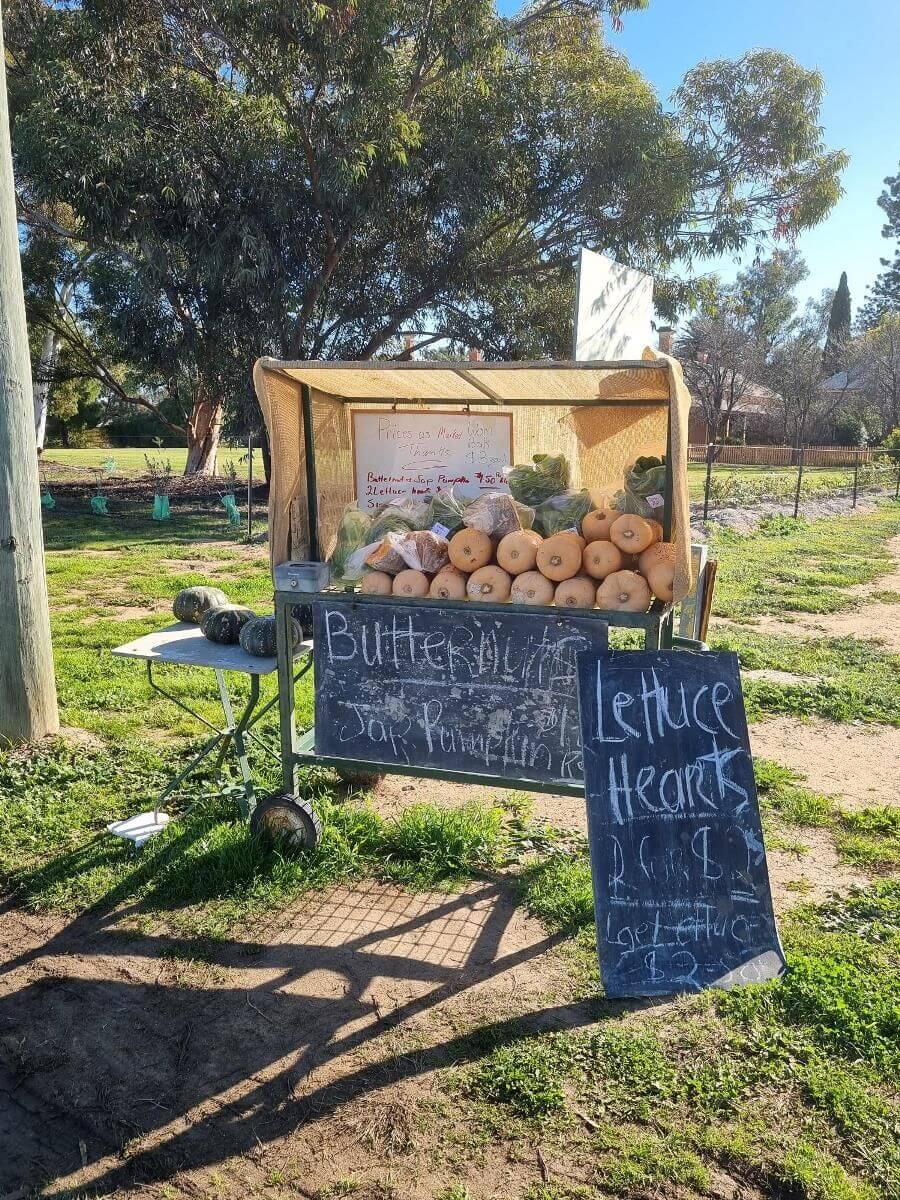 Farm Stand - Bidgee Motor Inn Hay NSW