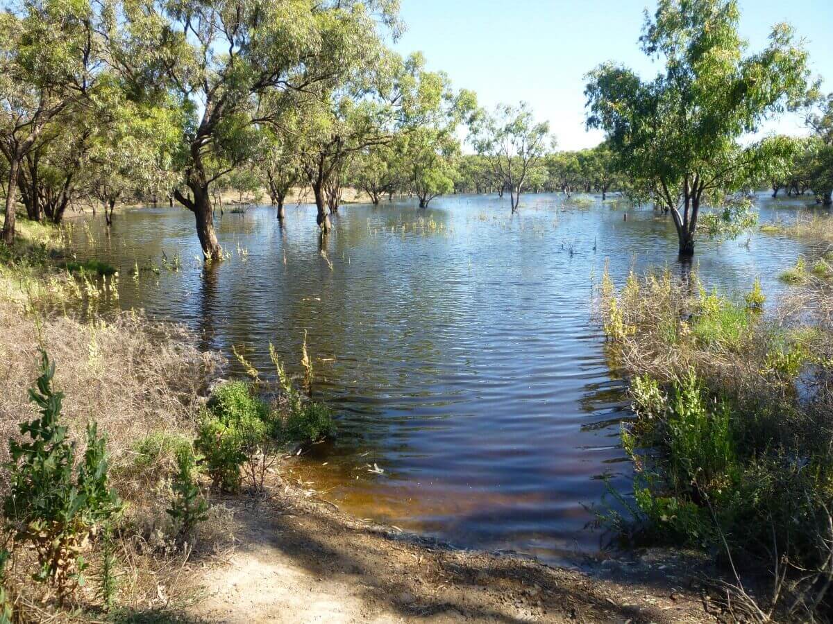 Flooding - Bidgee Motor Inn Hay NSW