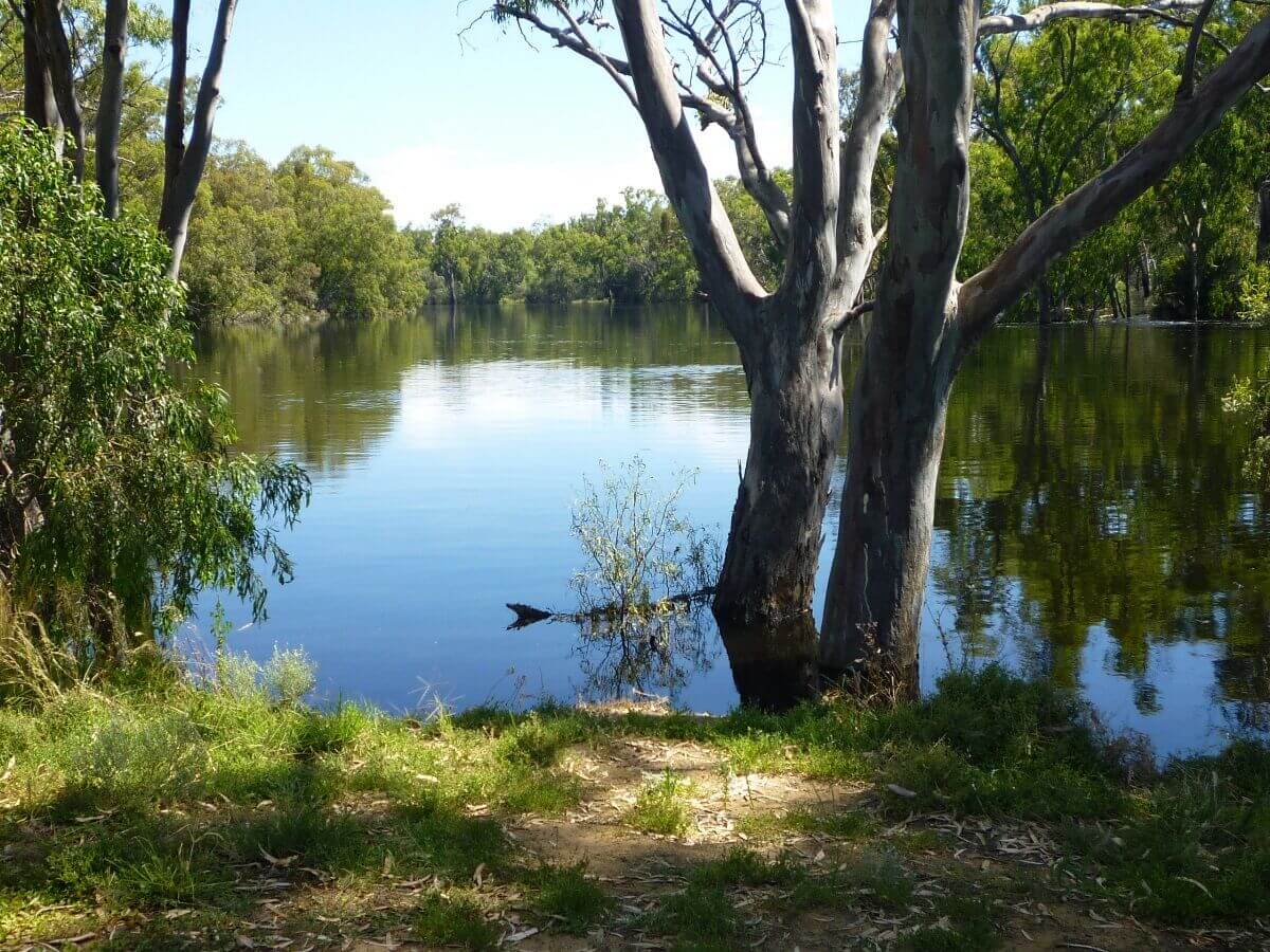 Murrumbidgee River Flooded - Bidgee Motor Inn Hay NSW