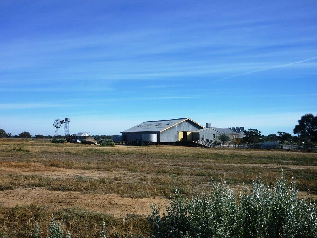 Shear Outback - Bidgee Motor Inn Hay NSW