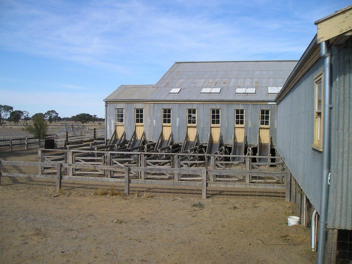 Shear Outback - Bidgee Motor Inn Hay NSW