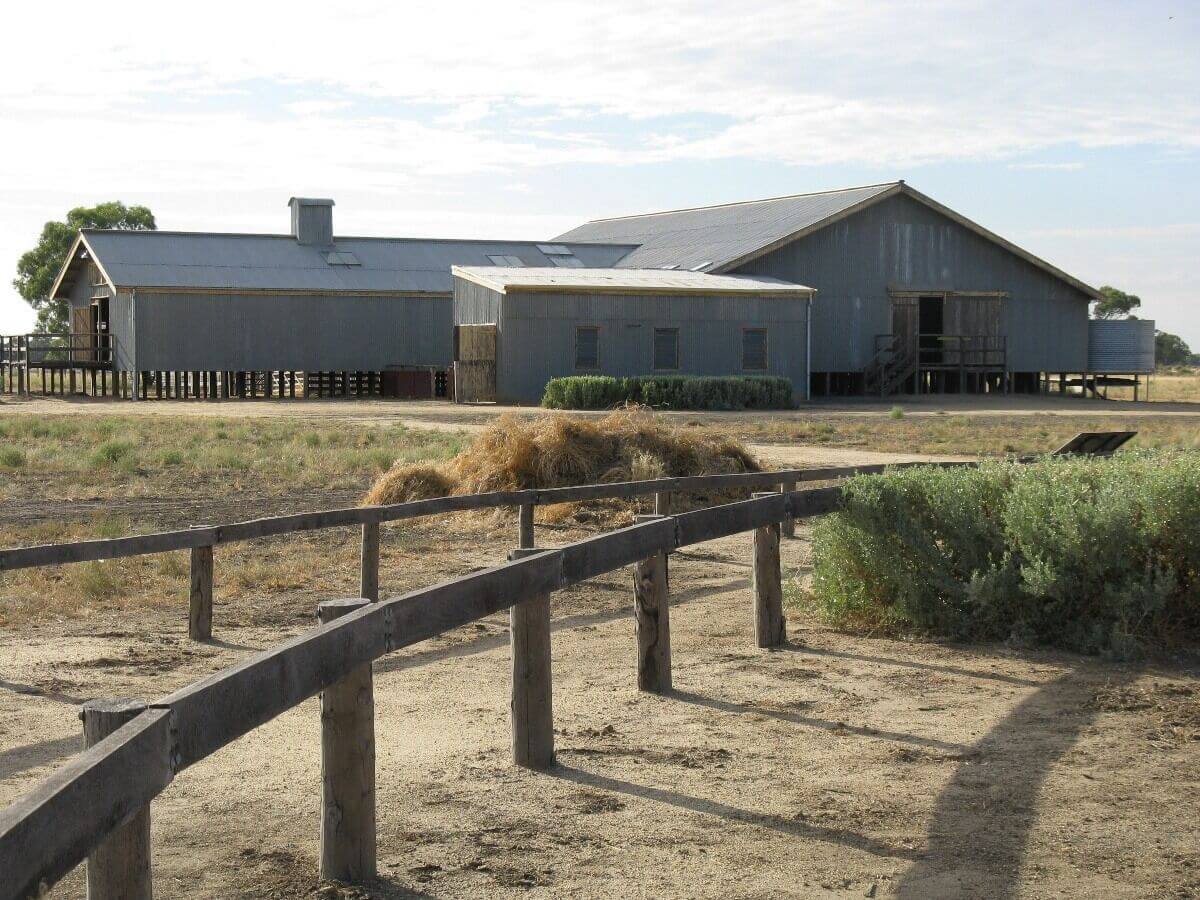 Shear Outback - Bidgee Motor Inn Hay NSW