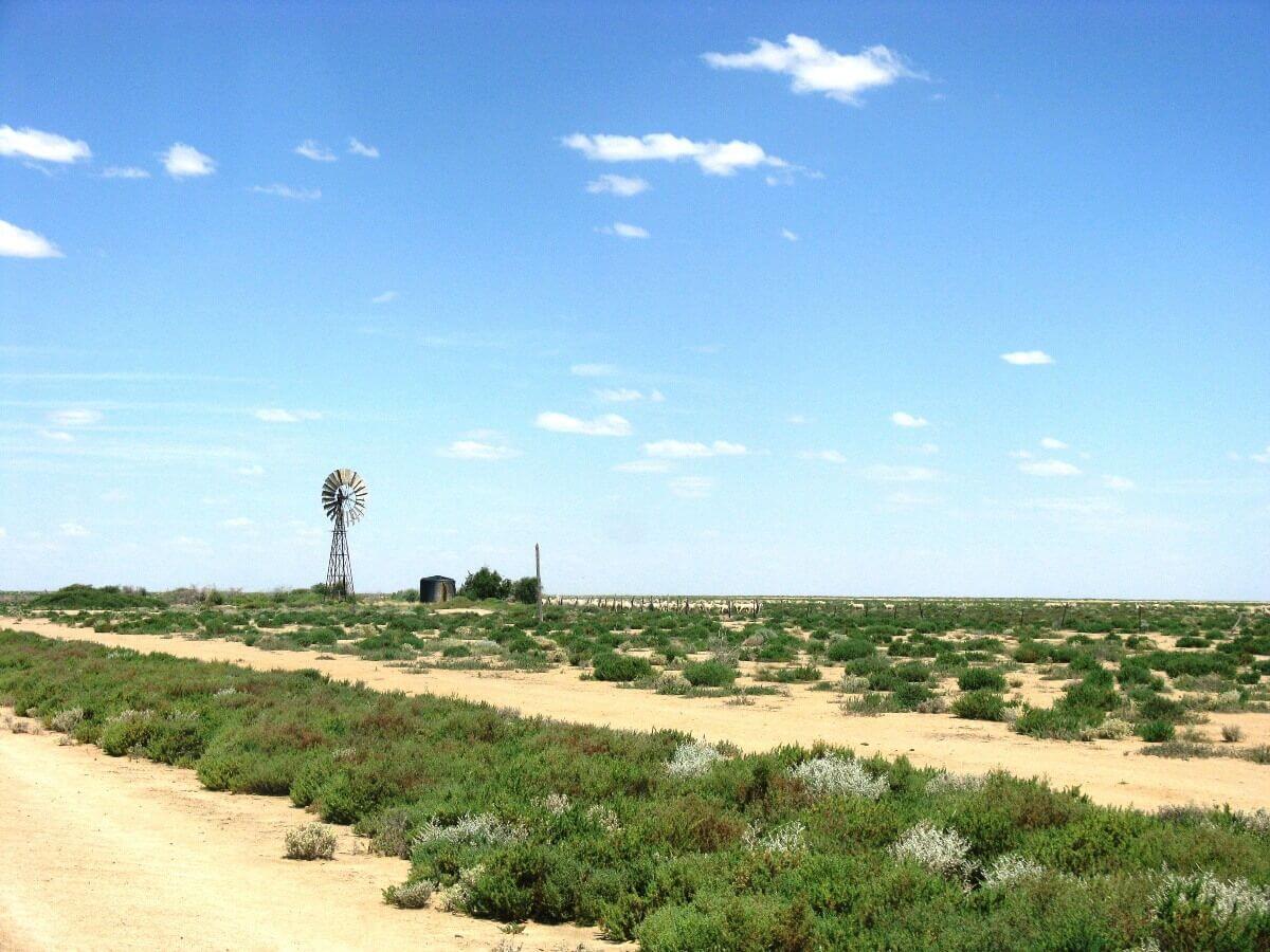 Windmill - Bidgee Motor Inn Hay NSW