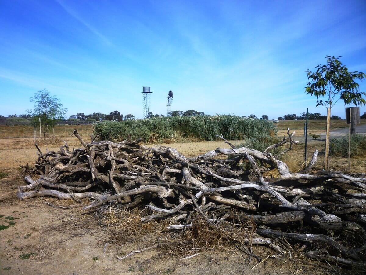 Woodpile - Bidgee Motor Inn Hay NSW